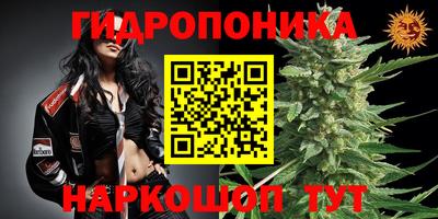 прущие крисы Боровичи