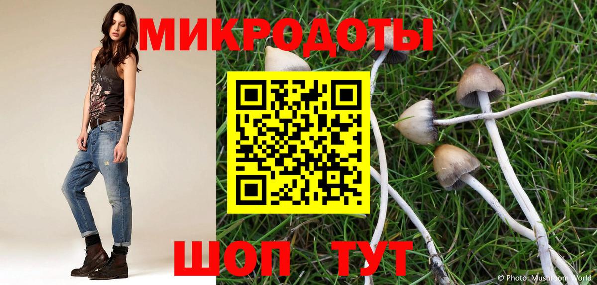 Солнечногорск  Галлюциногенные грибы Psilocybe  Вход с VPN 